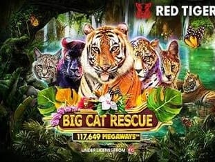 Big Cat Rescue Megaways™ game icon